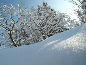 Entspannte Atmosphäre im Winteriglu